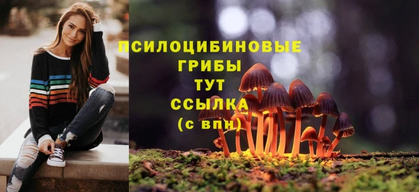 метамфетамин Верея