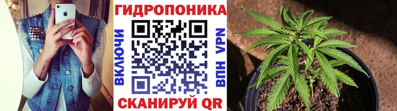 купить наркоту  Гусь-Хрустальный  кракен как войти  МАРИХУАНА индика 